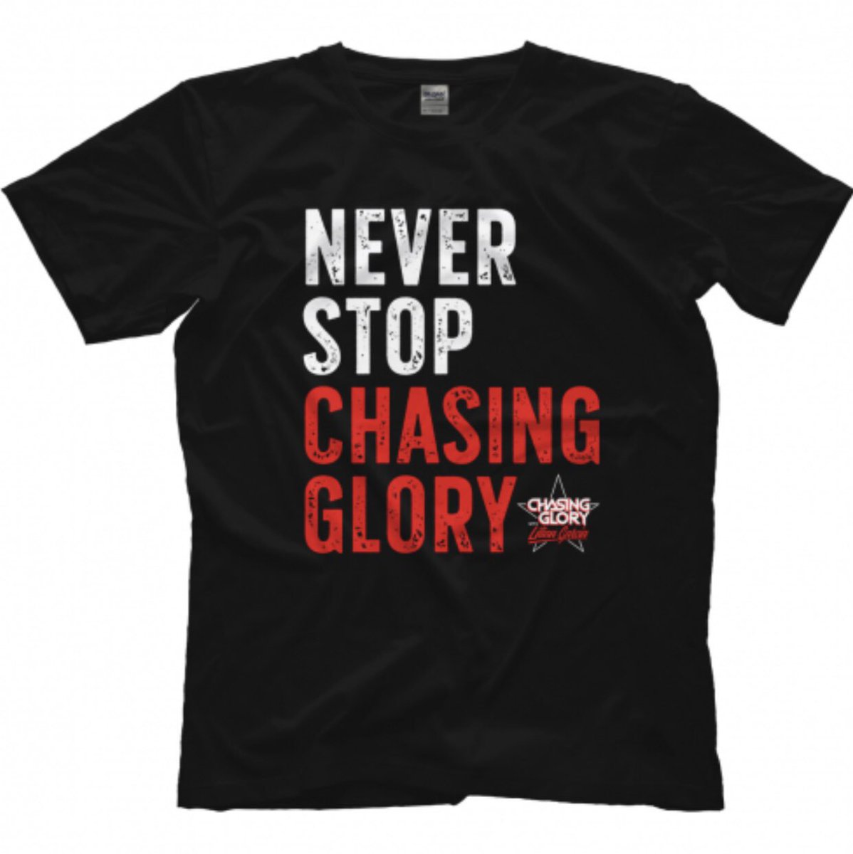 LilianGarcia's tweet photo. Just in time for the holidays! So excited that the brand new #ChasingGlory tee is Now Available!! #NeverStopChasingGlory

Shop all designs 👉🏼 https://t.co/ADmpbKHkaE https://t.co/Ywrip2KCjV