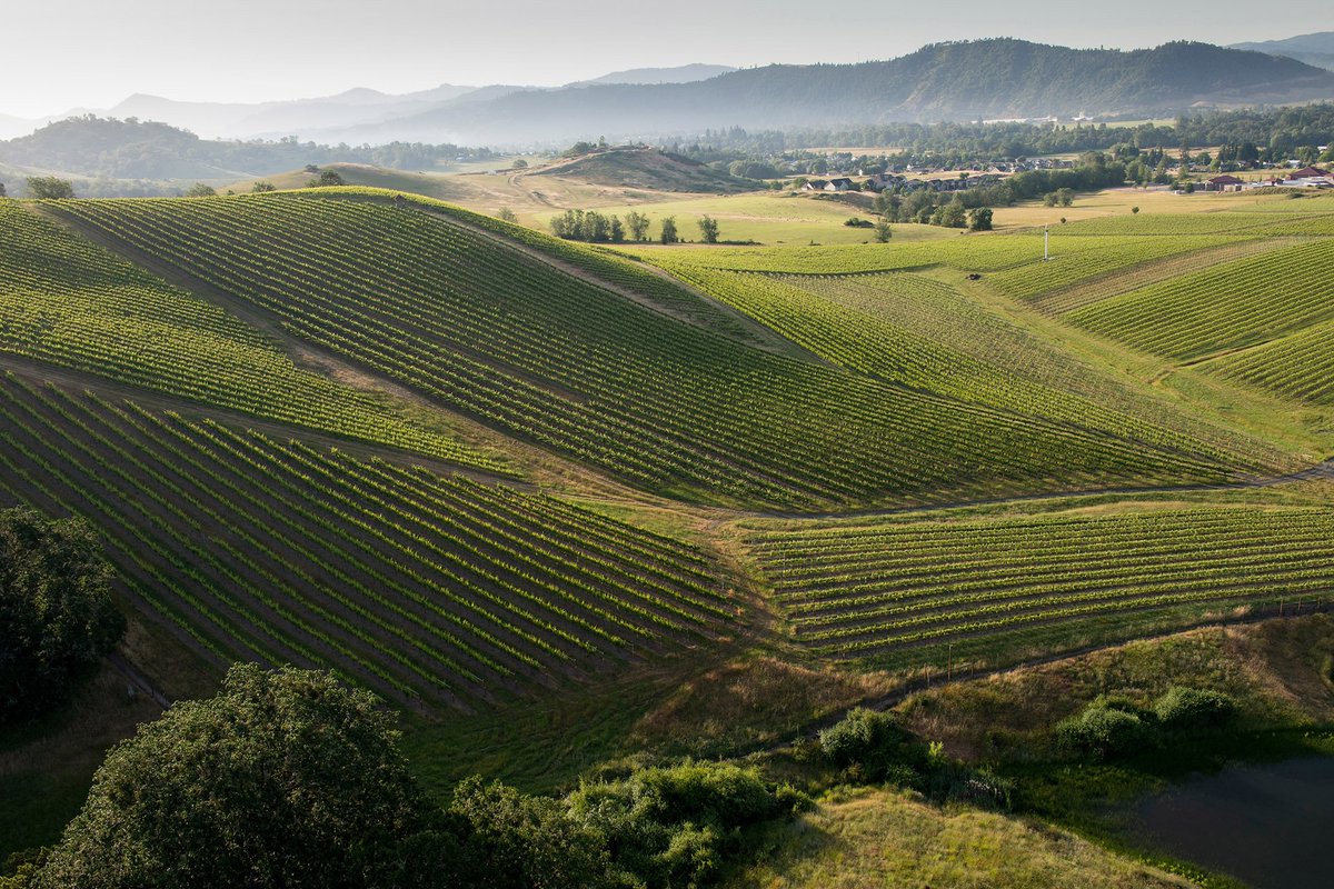 RT <a href="/oregonwineboard/">Oregon Wine</a>: Beautiful vineyard of Ribera del Duero, Rioja or Southern Oregon? winemag.com/2018/12/06/ore… Cheers @paulgwine <a href="/WineEnthusiast/">WineEnthusiast</a> @TroonWines <a href="/ReustleVineyard/">Reustle Vineyards</a> #oregonwine #tempranillo #grenache #albarino  #winetalks