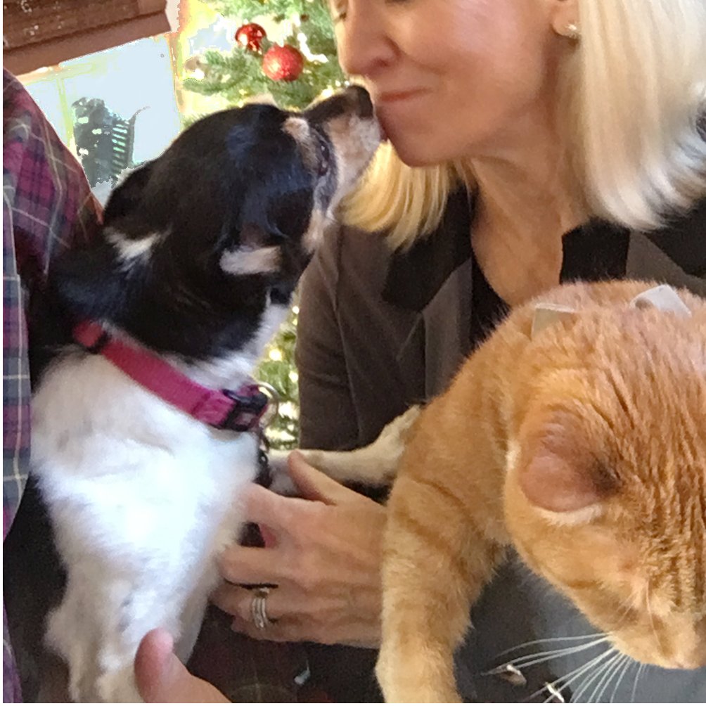 You can never have too much of an adorable thing. Show off the soft and fluffy pets in your life and get in that holiday state of mind. #animallovers

Don't forget to stop by ToolsPlus.com to pick up a gift (or two) for the crafter in your life!