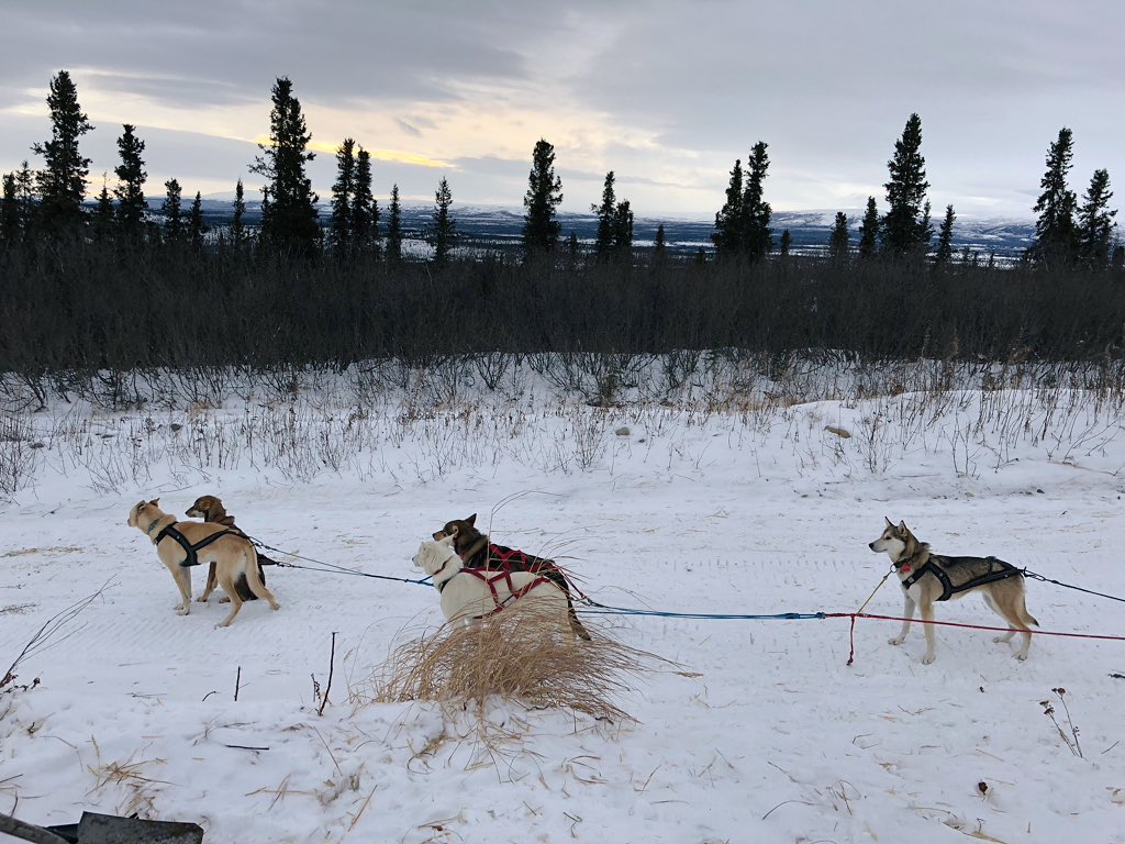 Blair Braverman on Twitter "This week we tried a new system. We came