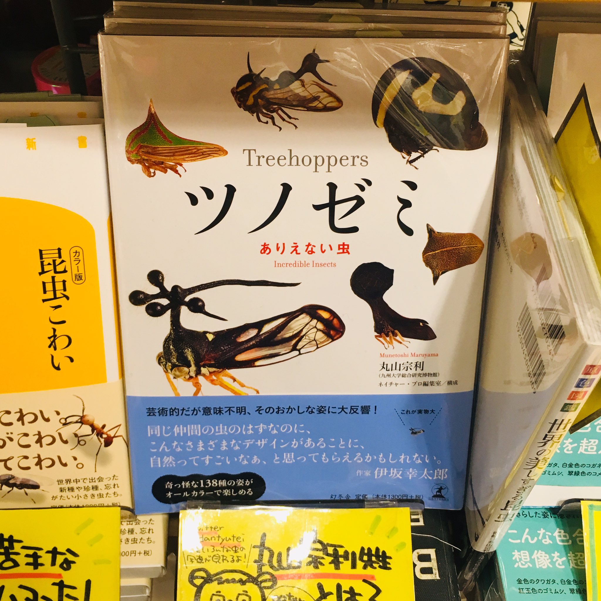 ヴィレッジヴァンガードﾙﾐﾈｴｽﾄ新宿店 ツノゼミ 知ってる こんなに興味深い生き物が居たとは 丸山宗利先生 Dantyutei ツノゼミ ありえない虫 伊坂幸太郎先生の帯のやつ 入荷しましたー 形もですが 名前も見てると