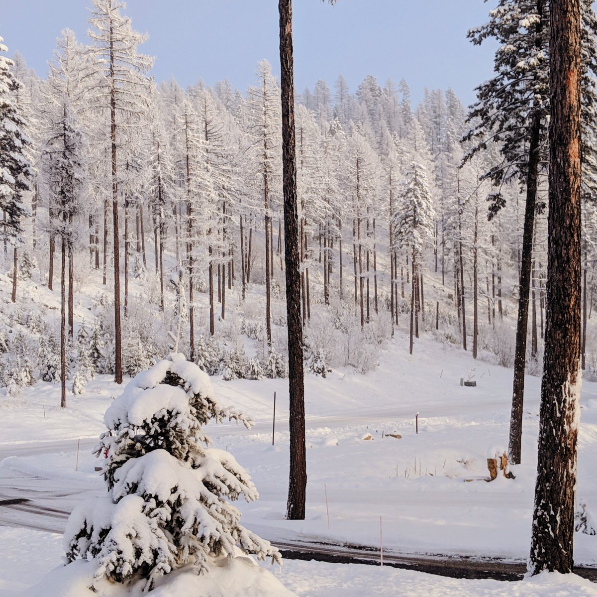 deltafaucet's tweet photo. Welcome to this year's #HGTVDreamHome, proudly sponsored by Delta! The surrounding snowy landscape of Whitefish, Montana brings its cozy mountain lodge style to life. https://t.co/4FMLpJDJH4