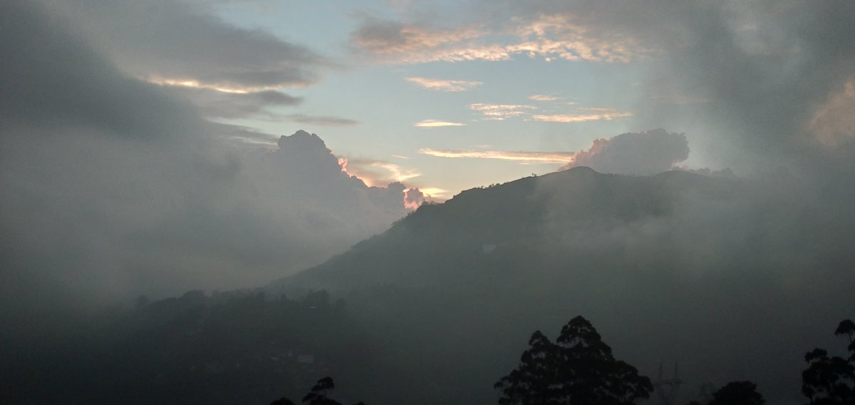 mdmmunnar's tweet photo. Munnar is beautiful than ever.....
 #Keralatourism #visitkerala #visitmunnar #hillstation #munnarresorts #honeymoonhideout #instagood #neelakurinji #beautifulmunnar #Keralatourism #honeymoon  #munnarresorts  #exploremunnar #mdm #comeoutandplay #weareinkerala #mykerala https://t.co/e3R1QiKMCp