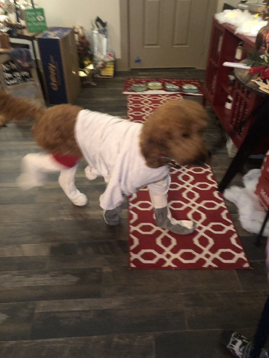 Mamauberagous's tweet photo. Lake “Uber” as we now will refer to it as has reared its ugly head back at us again but it will NOT take us over again!! It clearly knows NOT to mess with this Mama 🐻 but poor Rémy - girl just needs to go potty😔 #GodHasOurBack #RainRainGoAway https://t.co/VsNxHcUMqC