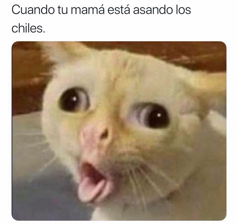 ۫ (@memedass) on Twitter photo 