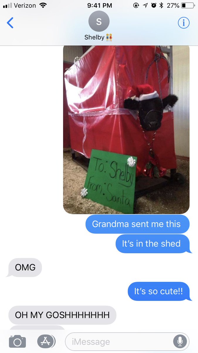 catharinlayne13's tweet photo. I found a picture of a cow on Facebook with my sisters name and now I’ve convinced her she’s getting a cow for Christmas https://t.co/C7zVK4WJHn