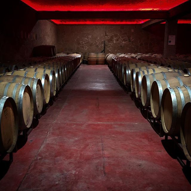 La cava I #wine #vino #cava #mexico #visitmexico #wineproducer #wineproduction #vinotinto #vinorosso #winemaking #redwine #vinomexicano #queretaro #ezequielmontes ift.tt/2RDdXni