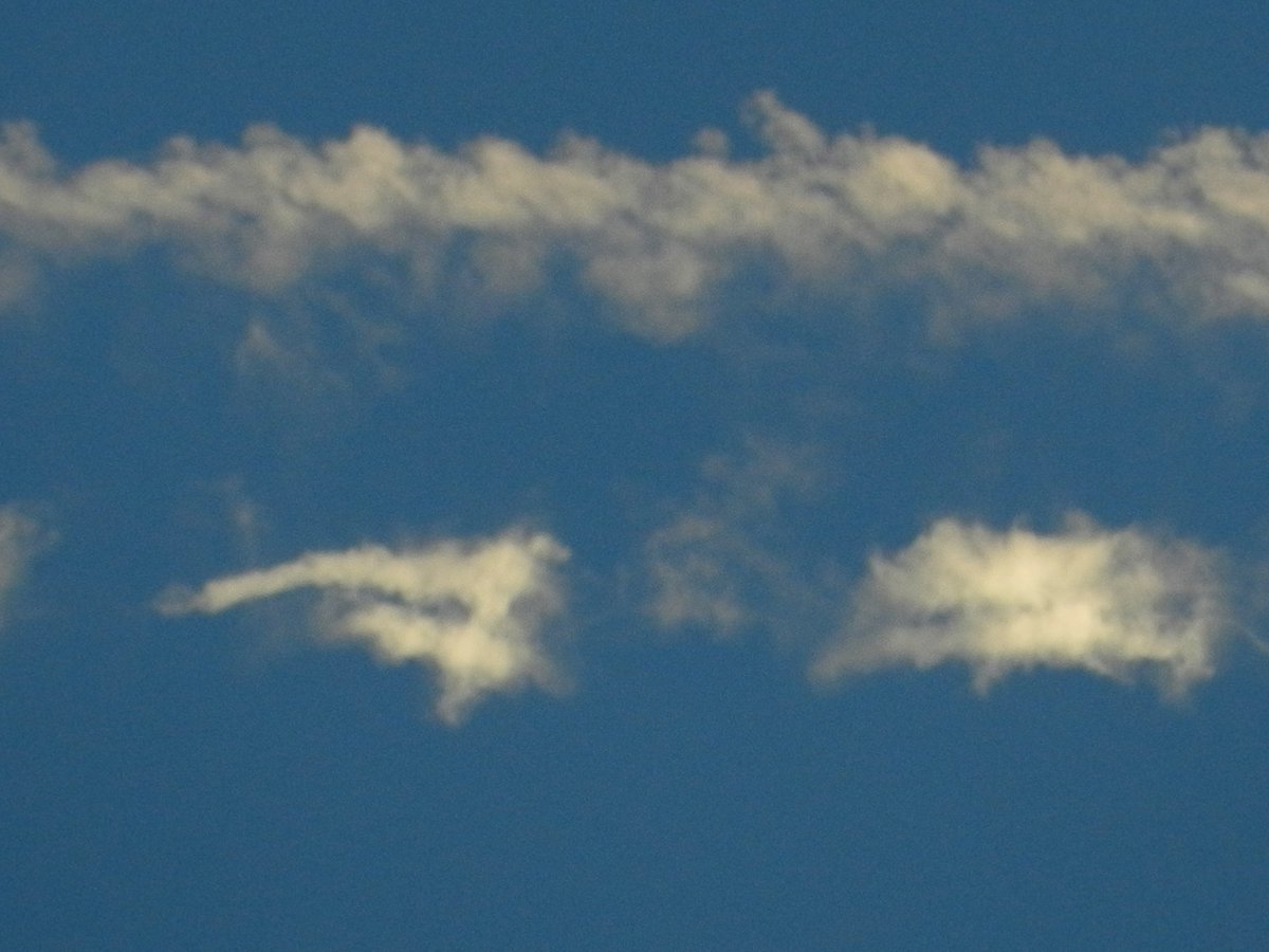 neocurio1's tweet photo. cONTRAILS dISSIPATING #contrail #dissipating #lookup #aircraftexhaust #cruisealtitude #neocurio #artatak https://t.co/nZQhqjW9sL