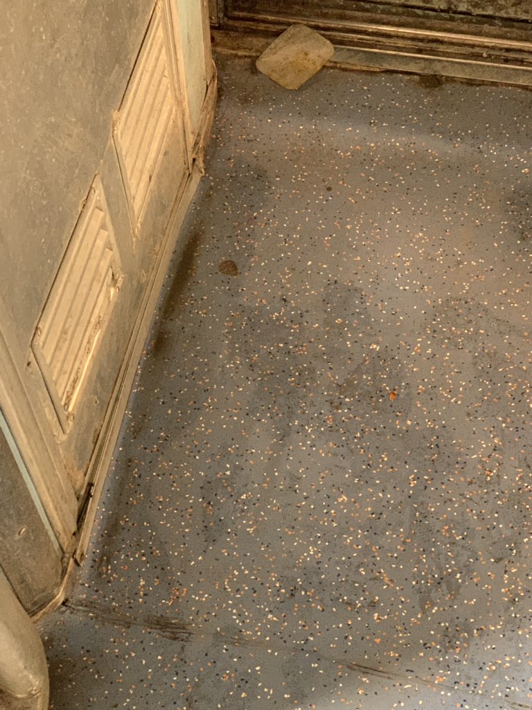 shikzu's tweet photo. @sureshpprabhu Sir,
Travelling in train Swaraj Express- 12472 from Katra is a bad experience as the toilet water is running into cabin of second AC coach A2. The smell unbearable. Please help us. Pictures attached.
@indianrailway__ https://t.co/rDpNUCd6VX