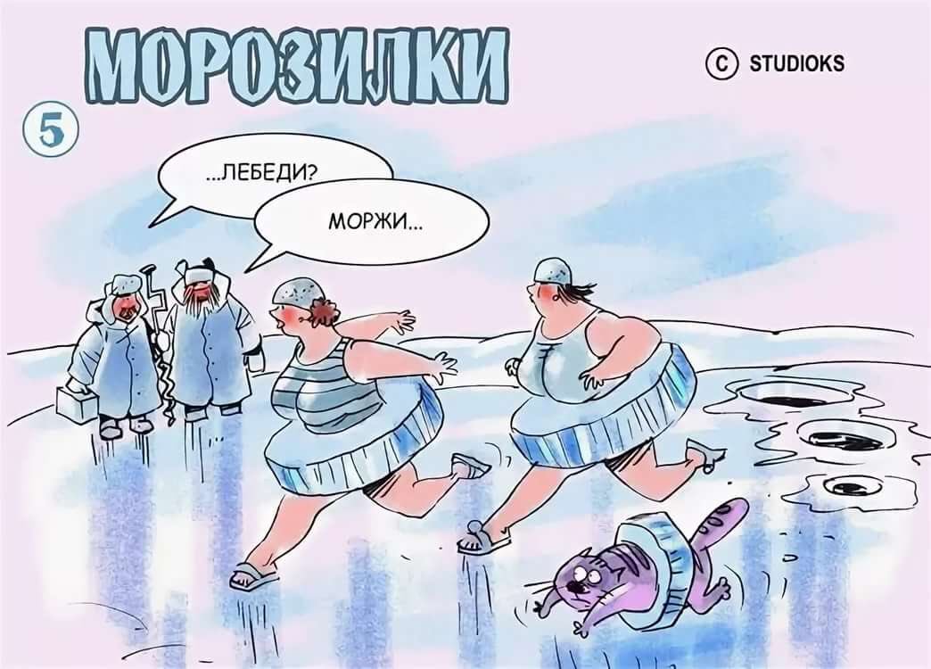 Карикатуры про моржей 