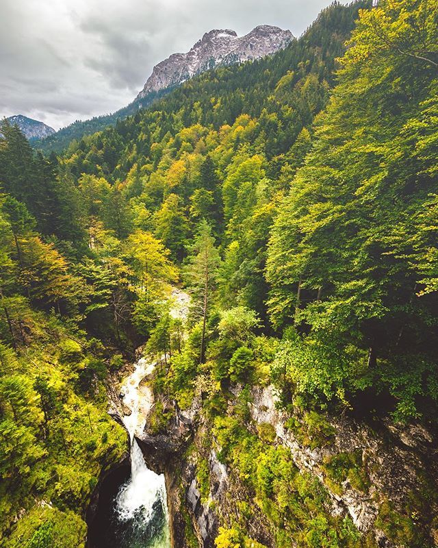 earthrisephoto's tweet photo. Because... you can never have enough #switzerland 🖖🏼🏞
.
.
.
#mürren #murrengimmelwald #switzerland #switzerland🇨🇭 #beautifulnature #treeporn #dronephotography #dronstagram #mountaineers #earth_pix #landscapes_obsessions #agameoftones #lumix #gh5 https://t.co/XdFCgqo2T4 https://t.co/9RhVWdaqZt