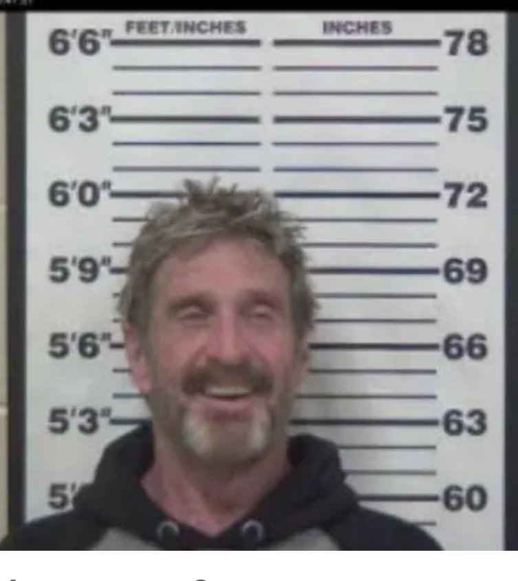 officialmcafee photo