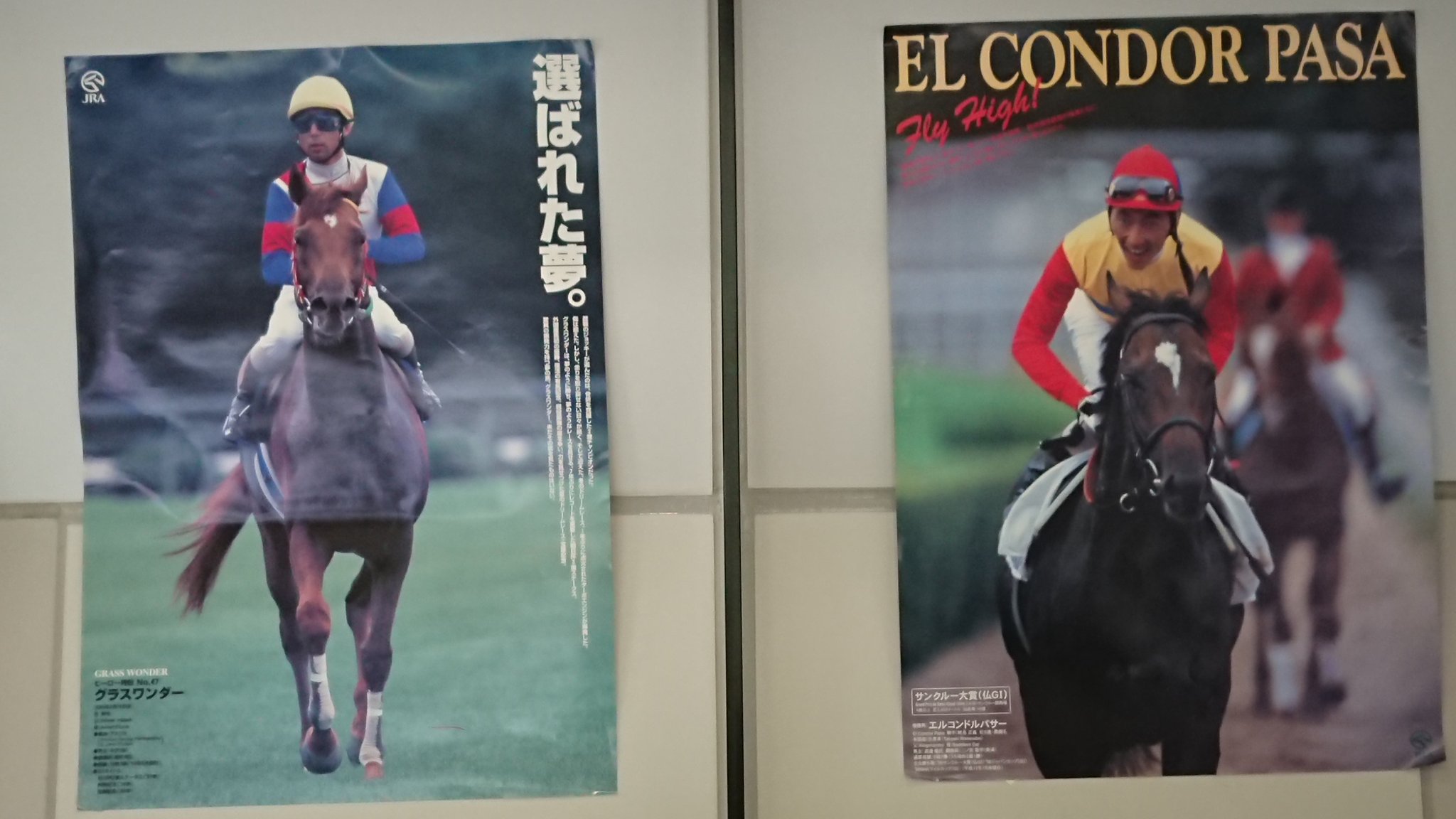エルコンドルパサー　ポスター　ジャパンカップ　競馬　ウマ娘 hqdefault.jpg