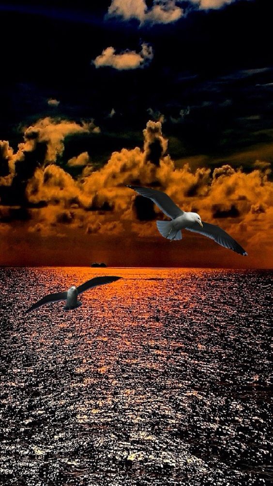 JoannaStauropo1's tweet photo. Οι ανθρωποι, δεν εγκαταλειπουν τους ανθρώπους που αγαπούν. 
Εγκαταλείπουν,τους ανθρώπους που χρησιμοποιούν. 

Καλό Σαββατοκύριακο. https://t.co/ACC6TKe2c8
