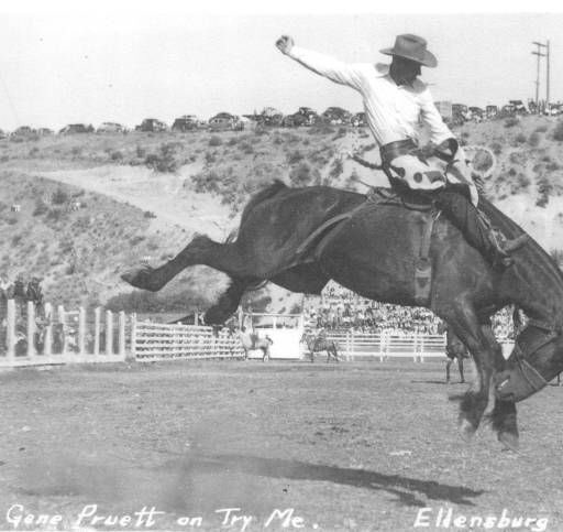 therodeotrail's tweet image. Gene Pruett on Try Me, 1947 @EllensburgRodeo!

#FlashbackFriday #rodeochat