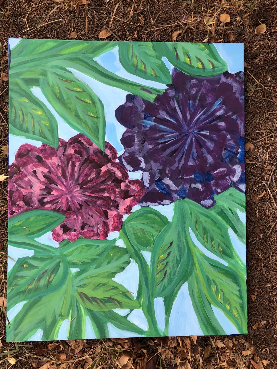 Donna Marie tweet media