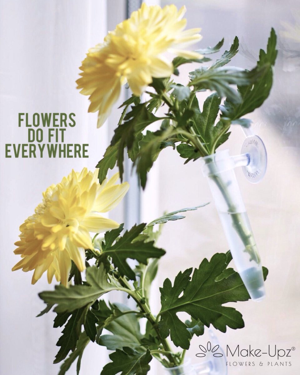 Het is weer bijna Kerst.🎄🎄
Al bezig met de voorbereidingen?
✅Kerstboom optuigen ✅Versiering ophangen
Hoe leuk is het om tussen de versieringen door bloemen te decoreren. 
Met de Florafixz laat je een bloem op elke plek bloeien!
Chrysanne Magnum Make-Upz® Yellow
by <a href="/Lionplant/">Hans van Leeuwen</a>