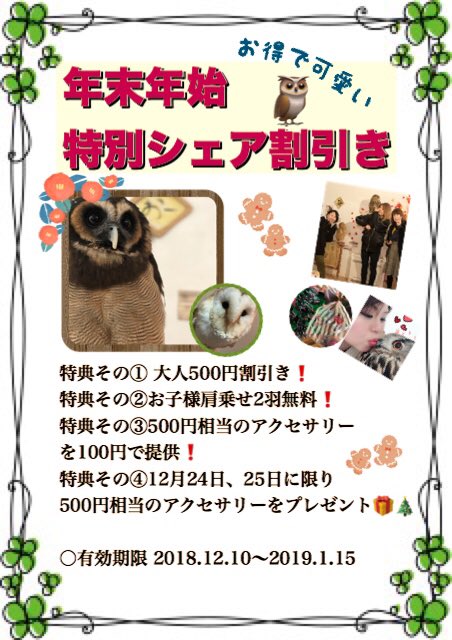 フクロウカフェ 大倉山ふくろう神社 Fukuroujinja Twitter フクロウカフェ 大倉山ふくろう神社 Fukuroujinja Twitter