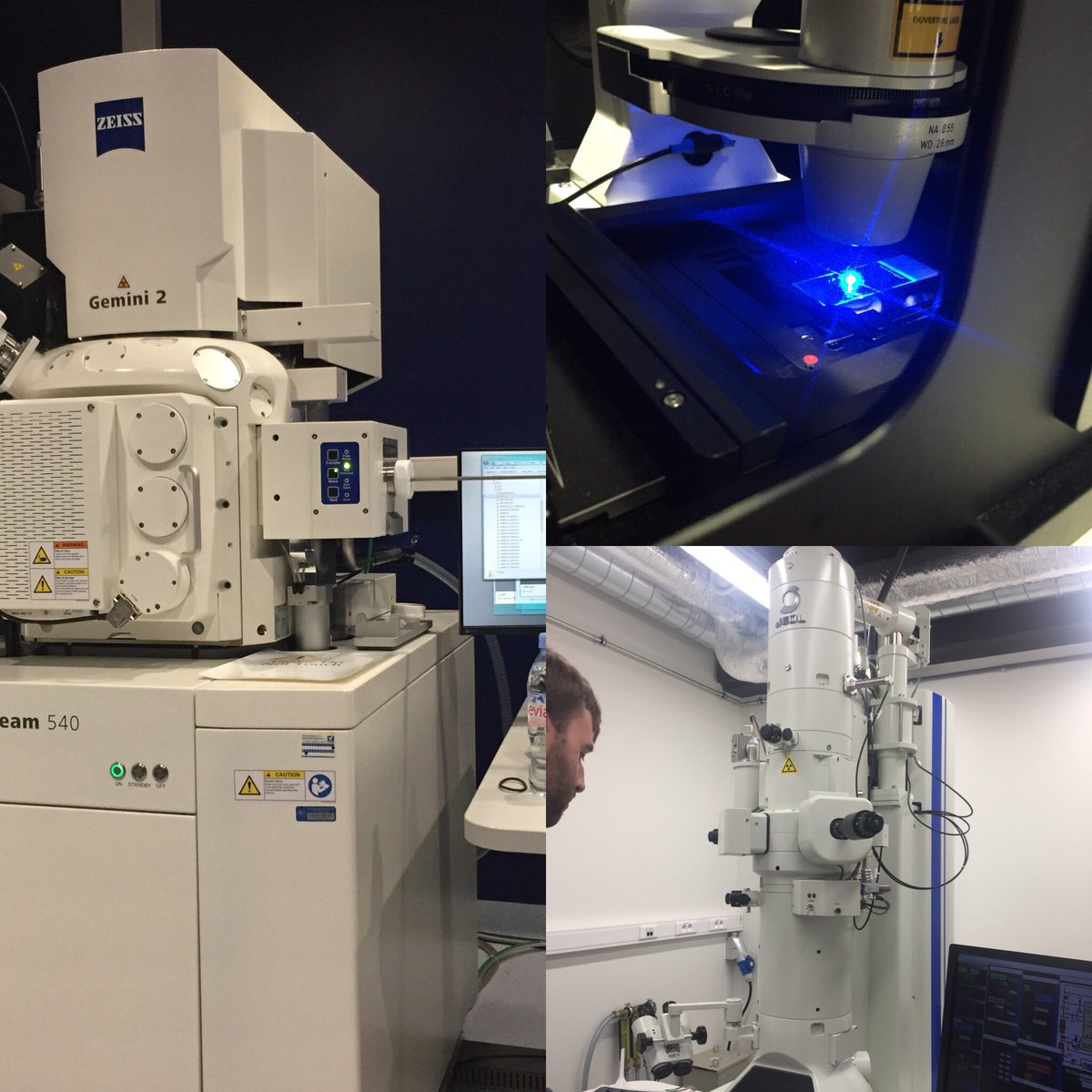 anto_fiora's tweet photo. 7 days of experiments in tornado mode, dear reviewers you can’t imagine how cool my results are!thanks to my amazing #SlayerTEAM and @VIBLifeSciences for the support and for giving me access to TOP equipmet! Time to go home to my baby girl #womeninscience #workingmom #revisions https://t.co/C1uilJamxm