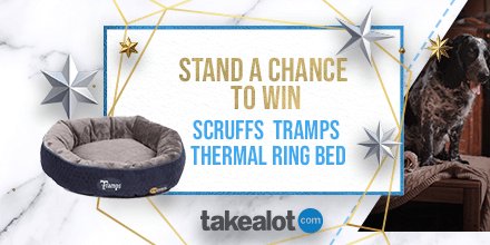 takealot dog beds