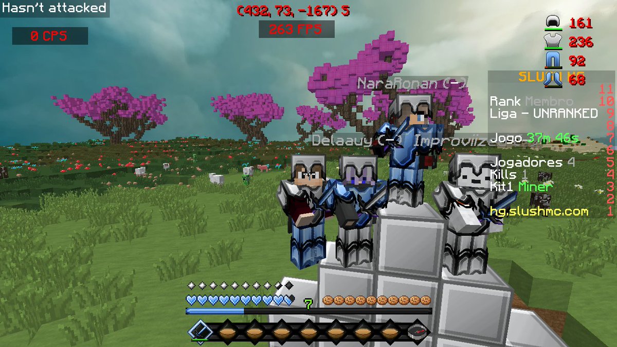 GOFASTCLAN - Minecraft HG tweet media