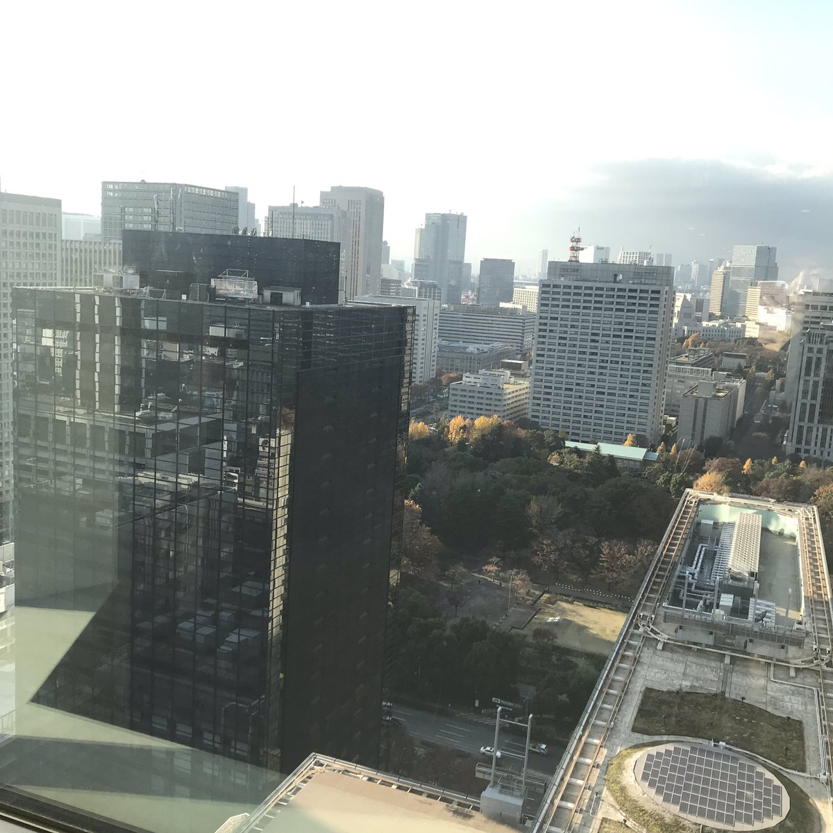 Shampoo_nim's tweet photo. 日本〜〜！ https://t.co/2EtiDE6Ei0