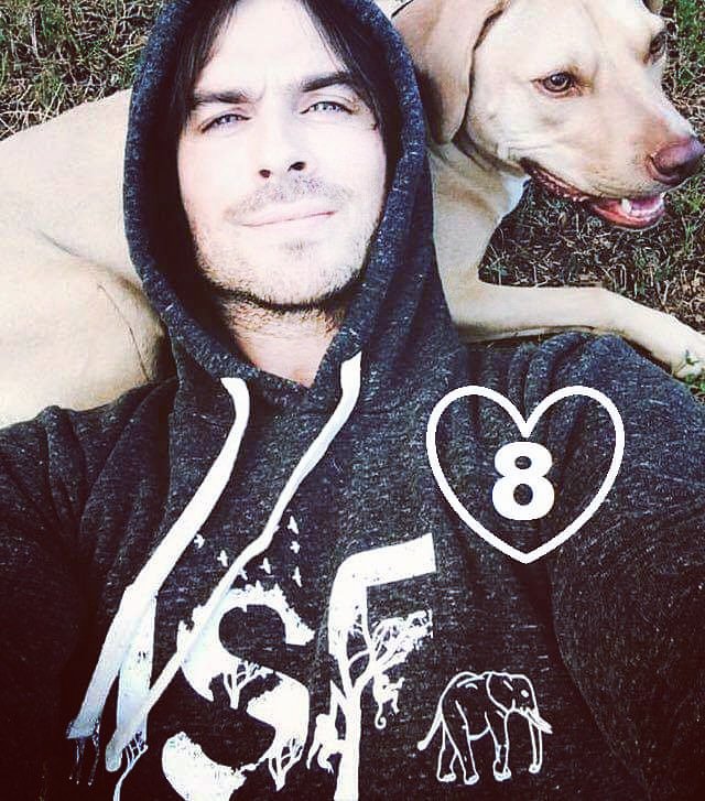 ISF_ItaWarriors's tweet photo. Happy 8th Birthday to my second best Family ever💚💚 #ISFam #MuchLove @iansomerhalder @IS_Foundation https://t.co/Uh84ZrBKI3