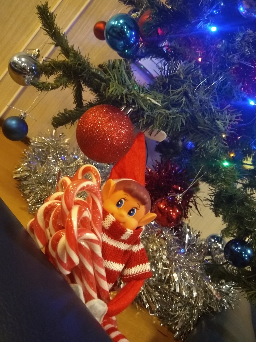 1weeElfy's tweet photo. Look out if sailing Oban to Mull today.. Elf has had a delivery of his fav treat #CandyCane and he wants to #share he has hidden some around the Mv isle of Arran can you find them! Retweet if you find 1 #elfontheshelf #oban #exploremull @obantimes @CalMac_Updates @argyllandbute https://t.co/QLJFGtCZ4k