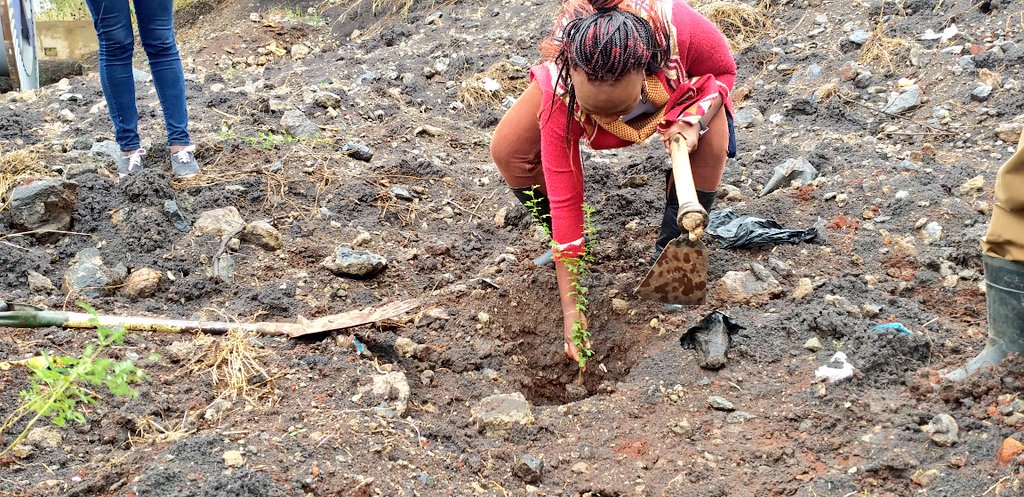 MbulaMutula's tweet photo. In Partnership with Nairobi Green Line @MovenpickNRB are today planting trees long at the Nairobi National Park. The care of the Earth is our most ancient and worthy responsibility. #NairobiGreenLine https://t.co/V6JeaUSbOj