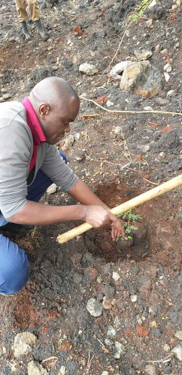 MbulaMutula's tweet photo. #NowHappening spending the morning with Team @MovenpickNRB planting trees at the nairobi national park in support of the #NairobiGreenline https://t.co/zIPcFWtWtS