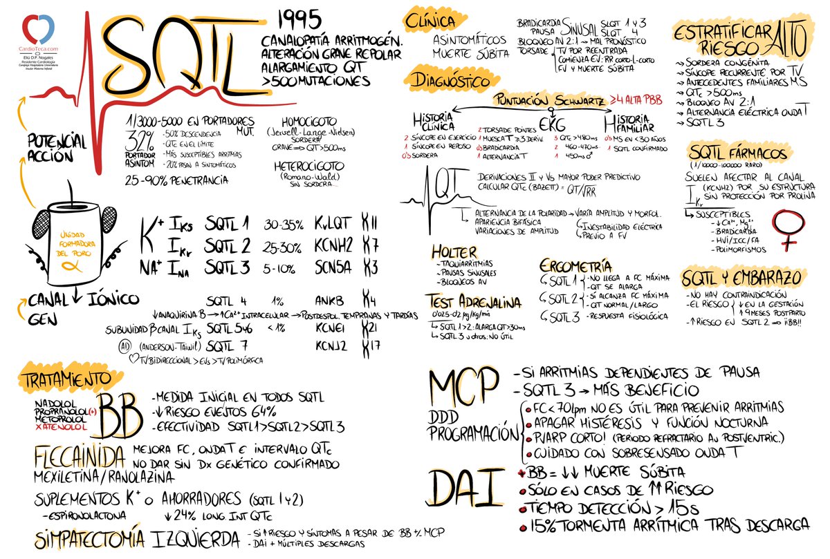 TheDocNeverDies's tweet photo. Síndrome del QT largo, pequeña infografía  resumiendo lo que debemos saber. 
* Los BB no son igual de efectivos en todos los tipos
* Alternancia eléctrica de onda T es un signo ominoso 
@CTOMedicinaES #MIR #Cardio #2mir19 @academiamir #FOAMed @mirasturias @cardioteca 
¡Ánimo! :D https://t.co/d8hc5XzEuE