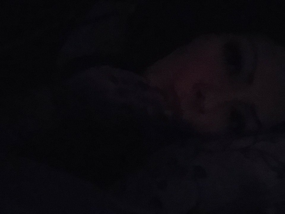 Jasmine04415680's tweet photo. Goodnight Twitter! 💤 #sleep #beautysleep #somnophilia #sleepy #lolita #inmyrestlessdreamsiseethattown #silenthill https://t.co/0rNRbxenp5