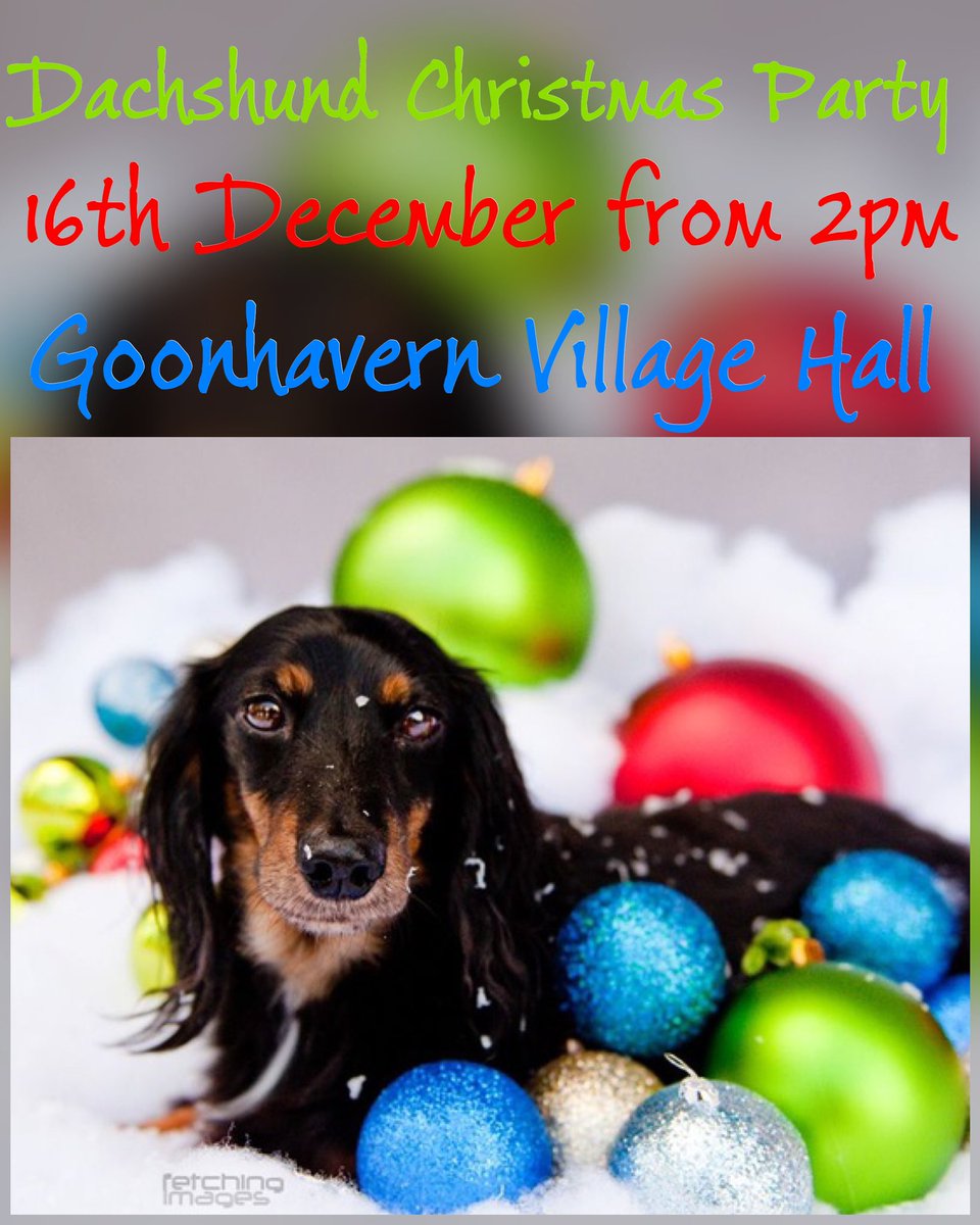 DachshundsSW's tweet photo. Louis and I will be there to see Santa.... Who else is coming?!! 🐶🎄🎅
https://t.co/Dx1E48g8Lp #dachshund #sausagedog #christmasparty #visitsanta #raisemoney #ivdd #raisemoney #goonhavern #newquay #christmas https://t.co/4h5msPhSRE