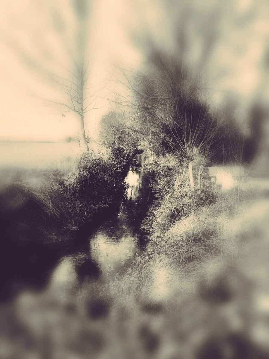 _ along the path... _ Ph. by me