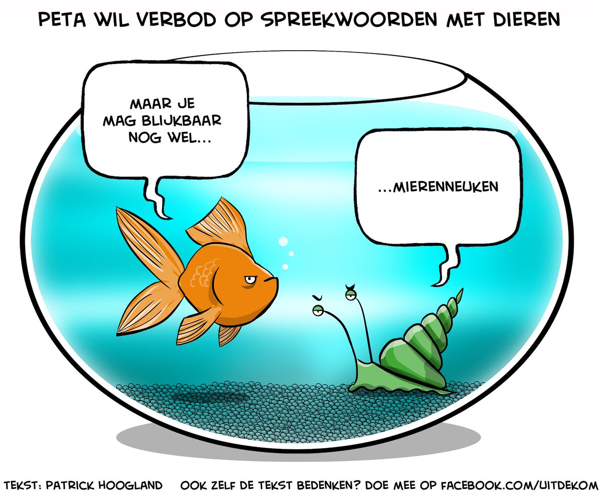 Uit de Kom (@uitdekom) on Twitter photo 