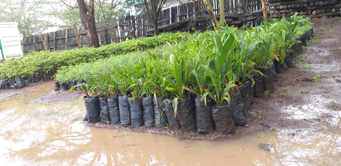 Jahmu__'s tweet photo. After the rains touchdown this morning what would be better than tree planting?
In Partnership with Nairobi Green Line @MovenpickNRB are currently planting trees at the Nairobi National Park. We can't let the forests to stop breathing.
#NairobiGreenLine https://t.co/giEMh6JhKv