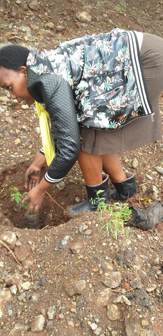 Jahmu__'s tweet photo. After the rains touchdown this morning what would be better than tree planting?
In Partnership with Nairobi Green Line @MovenpickNRB are currently planting trees at the Nairobi National Park. We can't let the forests to stop breathing.
#NairobiGreenLine https://t.co/giEMh6JhKv