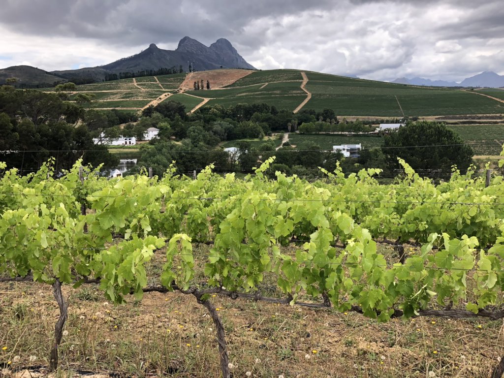 FairtreeContour's tweet photo. Three weeks of pre-enteies left and your chance to commit with a discount. These views waiting on day one 2 Febr’19. #thefireride kicks off @Delvera #mountainbikers Day2 takes you high on that mountain! https://t.co/z3sYRxMqJx