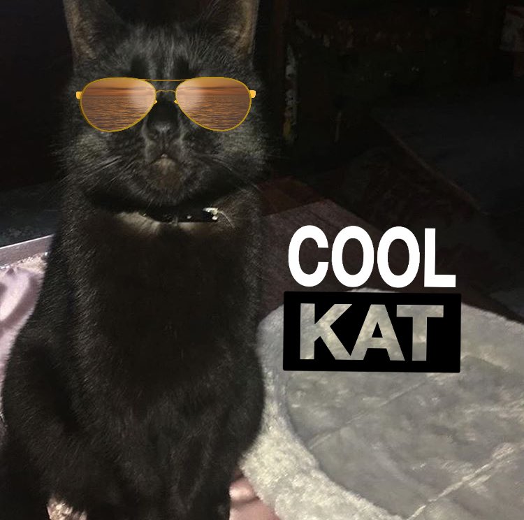 catchalkapp's tweet photo. Jus chillin 😎 https://t.co/BddwqNsGjw