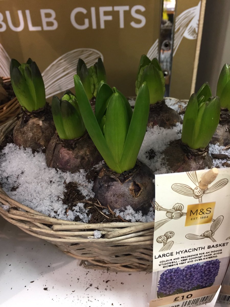 Hannah Carter tweet media