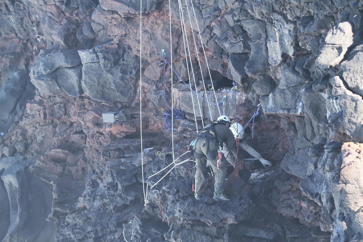 GIC_Mar's tweet photo. Días de intenso trabajo colocando cajas nido para la amenazada pardela chica (Puffinus baroli) en colonias de Canarias, en el marco del @LifeIntemares. Muy pronto sabremos si han tenido éxito! #seabirdersaturday #seabird #conservation https://t.co/FWt9EaNHpx