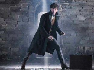 NNFilmhouse's tweet photo. Screening today:
• #FantasticBeasts 2 continues (2.30pm & 6pm)
• Rachel McAdams and Rachel Weisz star in @DisobedienceMov (9pm)
• German Academy Award winner #3DaysInQuiberon arrives (9.15pm)
https://t.co/nY0NAq3FTK https://t.co/CZHW5rCUoa