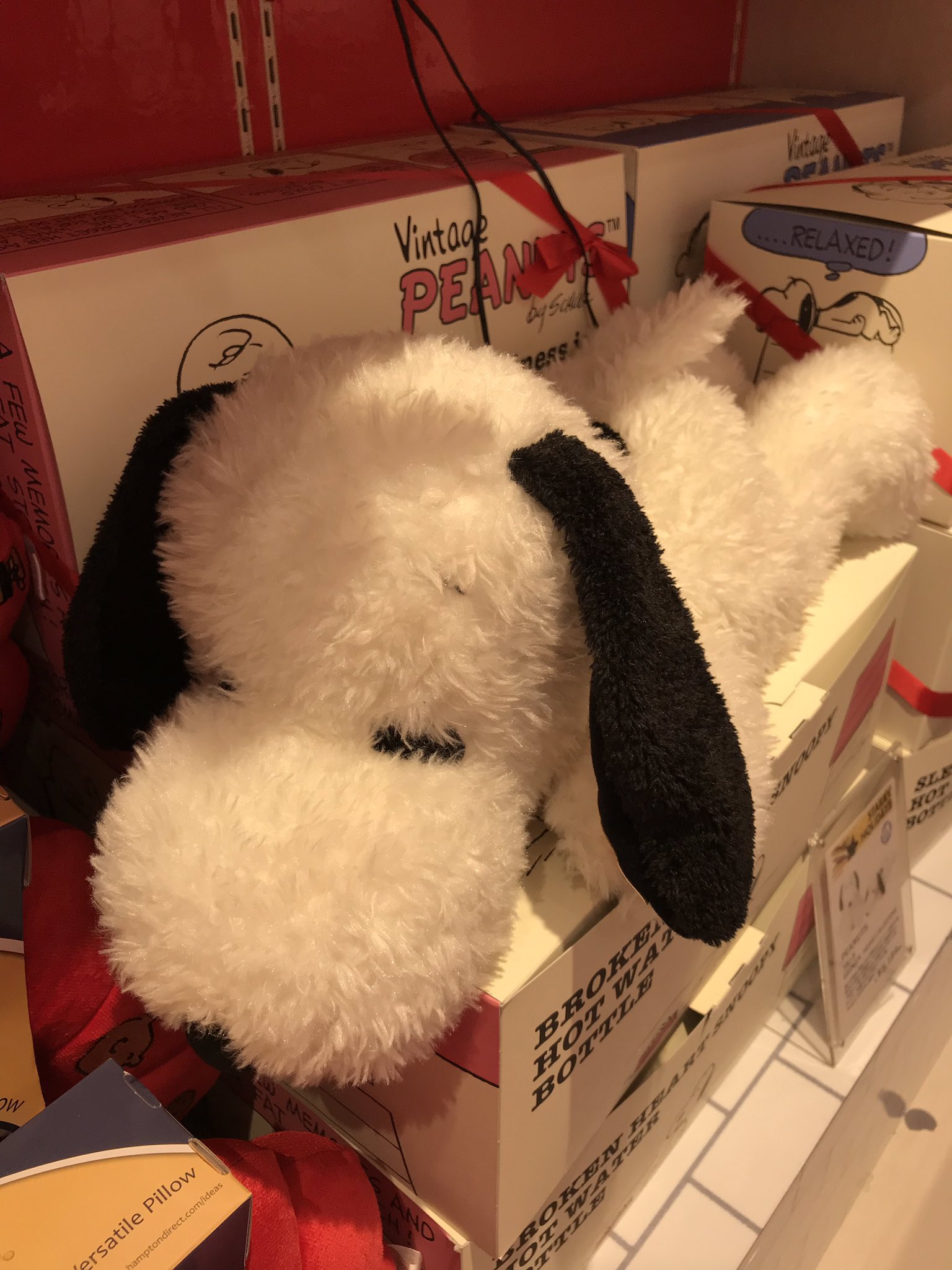 ルミネ横浜 Pa Twitter B2 プラザ スヌーピー の湯たんぽ 思わず抱きしめたくなる可愛さの湯たんぽ 背中から湯たんぽが入れられるので 保温性も 食べ過ぎてしまい お腹がぽっこりしているタイプと 定番の寝そべりタイプがあります