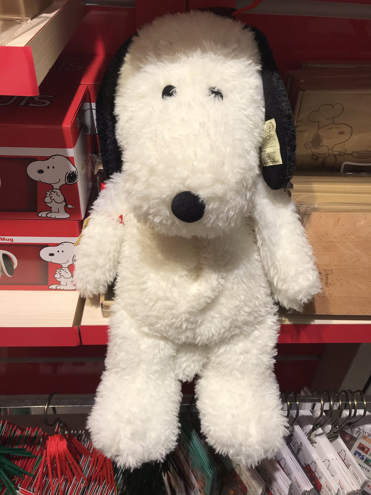 ルミネ横浜 B2 プラザ スヌーピー の湯たんぽ 思わず抱きしめたくなる可愛さの湯たんぽ 背中から湯たんぽが入れられるので 保温性も 食べ過ぎてしまい お腹がぽっこりしているタイプと 定番の寝そべりタイプがあります