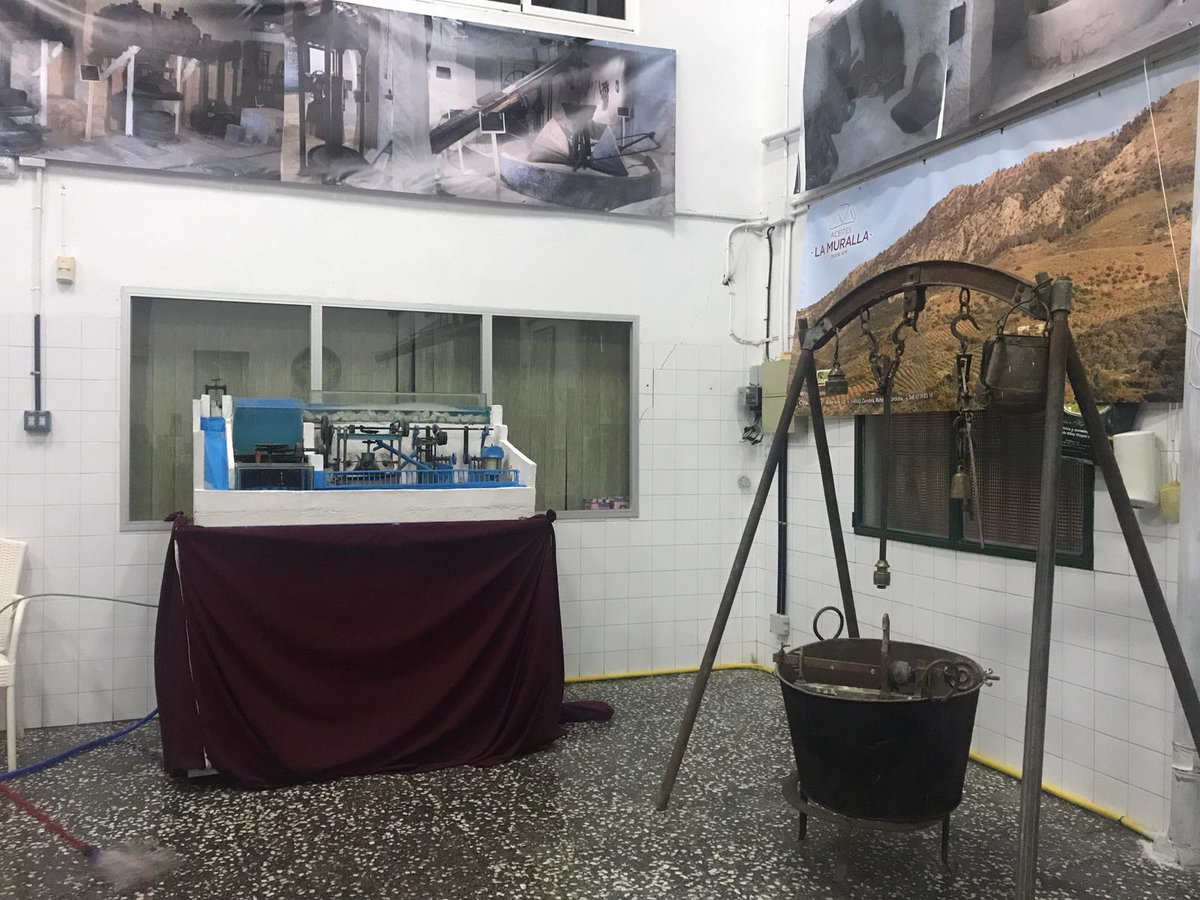 RutePASS tweet media