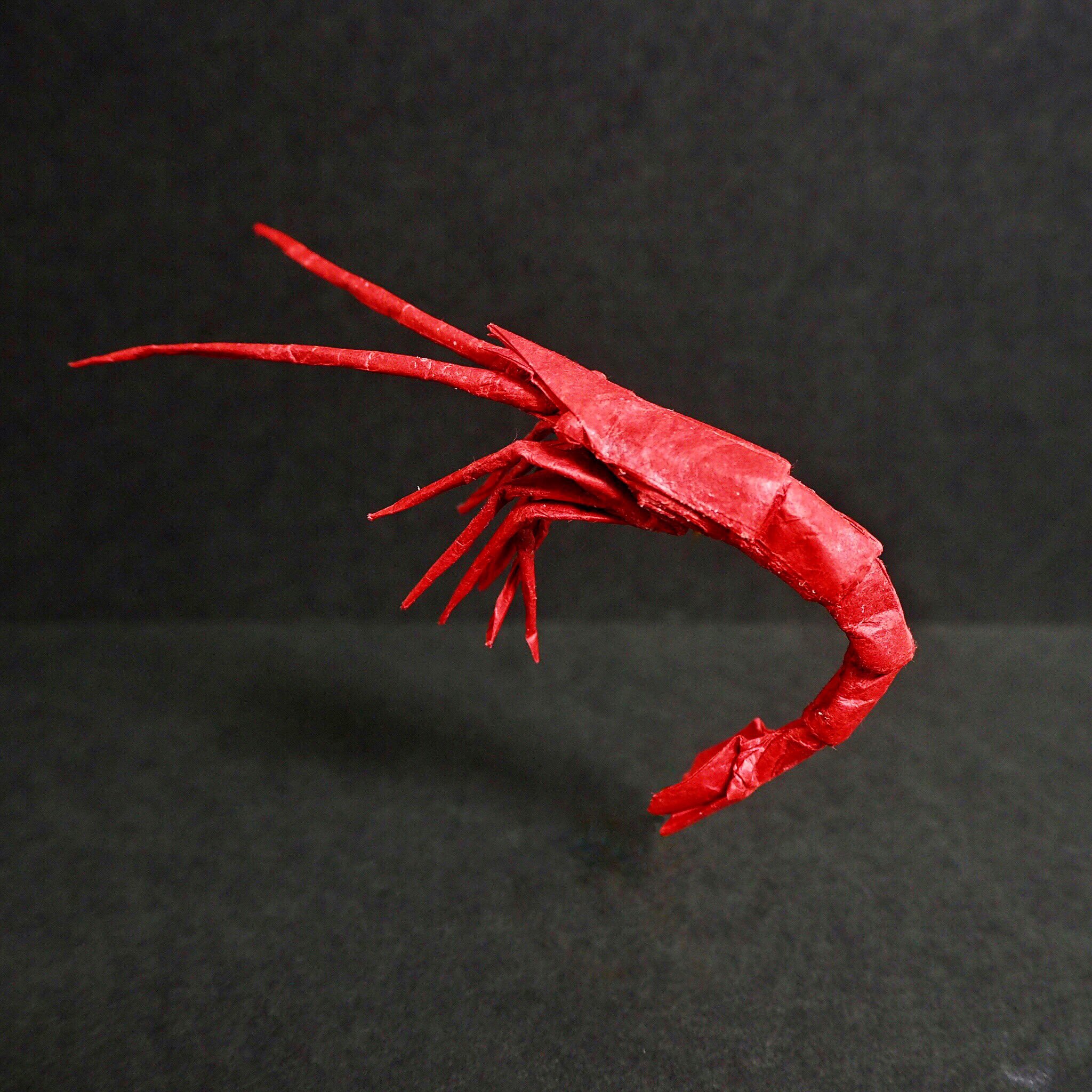 えぃくん Auf Twitter 甘エビ ホッコクアカエビ Sweet Shrimp えぃくん Eikun Dayo カラペ Karape 32cm 簡単すぎず難しすぎないちょうどいいとこ狙いました ๑ ๑ 折り紙作品