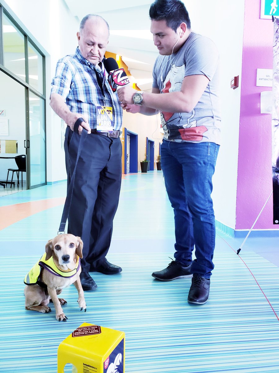 ZORRO DE CANCÚN DESDE <a href="/TeletonMexico/">Teletón México</a>