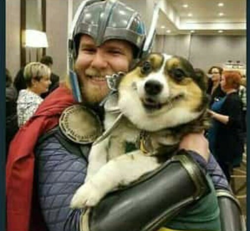 sweetthayna_'s tweet photo. Santa Capivara, é o Thor, mds é o Thor, registra esse momento Robson https://t.co/xHsU8s3UeI