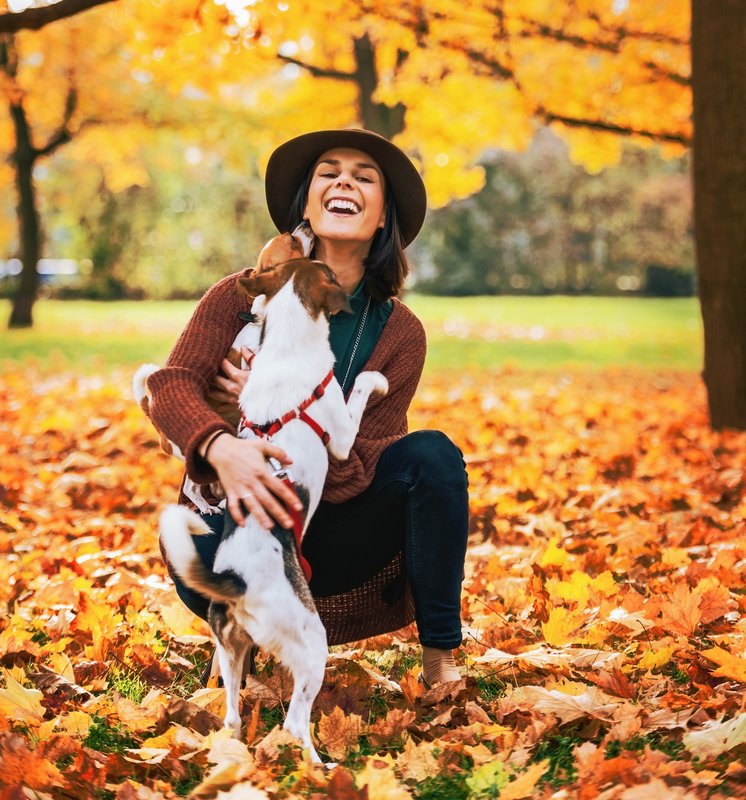 RawPets's tweet photo. Keeping It Simple: Choosing the Best Proteins for Your Dog https://t.co/uNcnu2Q2KZ #Doghealth #WhiteMeat #Dogwellness #RedMeat https://t.co/caXGZOgBcl