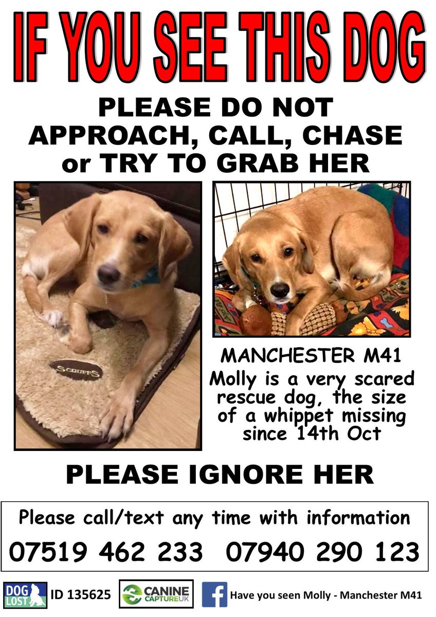 UkCapture's tweet image. Tips &amp;amp; Advice :-)